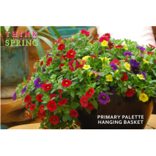 Primary Pallette mix